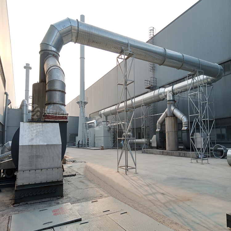 河北漢藍(lán)廢氣處理設(shè)備-沸石轉(zhuǎn)輪+催化燃燒爐