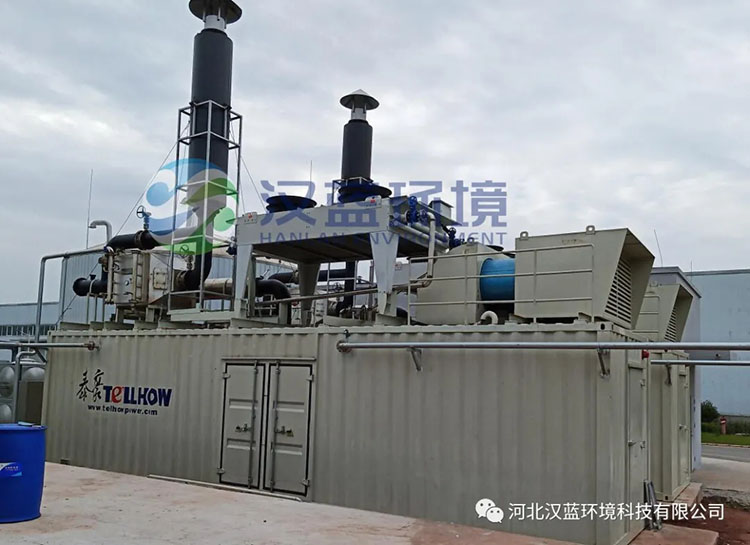 漢藍環境助力“井研大沼項目”脫硝設備順利驗收！