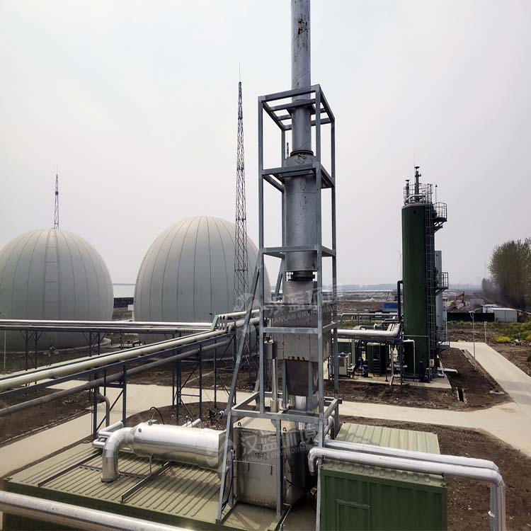 河南某沼氣項(xiàng)目生物質(zhì)沼氣發(fā)電機(jī)組脫硝系統(tǒng) 河南某沼氣項(xiàng)目生物質(zhì)沼氣發(fā)電機(jī)組脫硝系統(tǒng)