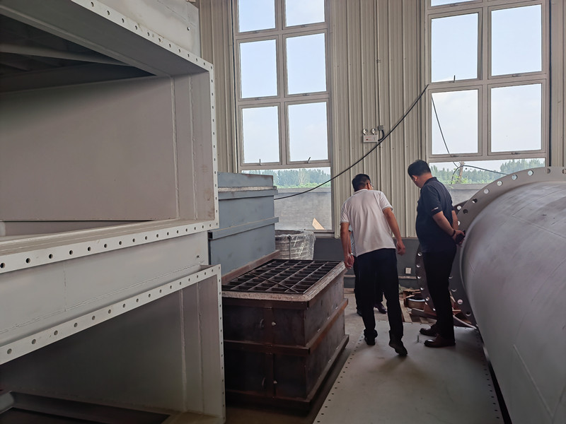 熱烈歡迎某集團公司客戶來河北漢藍驗收脫硝系統