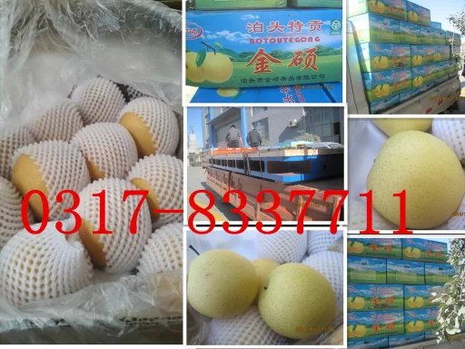 ɽ�|�����͑�ӆ�����T�Fƽ�_(t��i)��100�䲴�^�����b܇�l(f��)؛